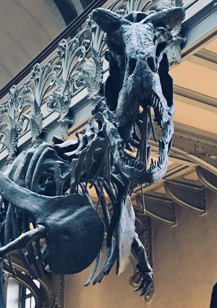 6b5ce0 13da13431e184128bc07ea0c9830713emv2 d 2112 3000 s 2