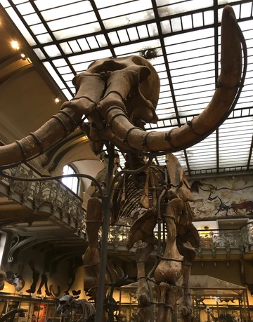 6b5ce0 9bba24935ae64fd79d248e0aebac85damv2 d 2918 3724 s 4 2